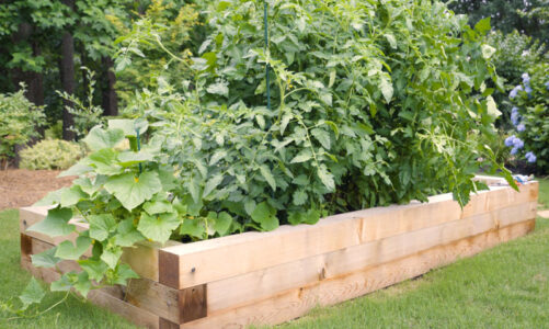 Build a raised garden bed this season