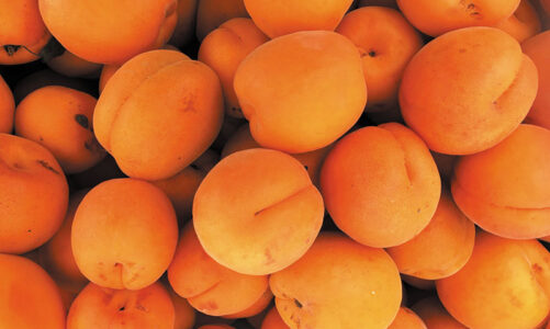 Plans underway for Farmer’s Market