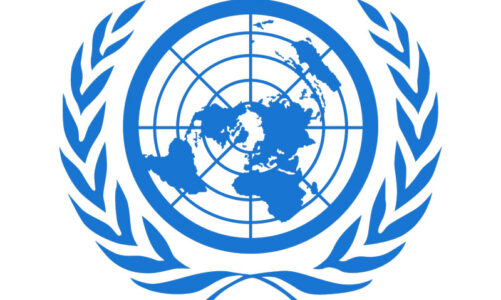 Marshall takes home Jr. Model UN honors