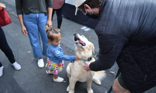 Farmer’s Market a howling success!