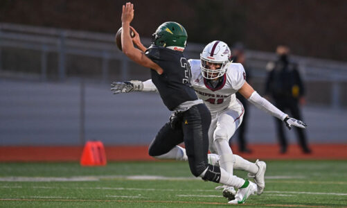 Falcons lose to Patrick Henry