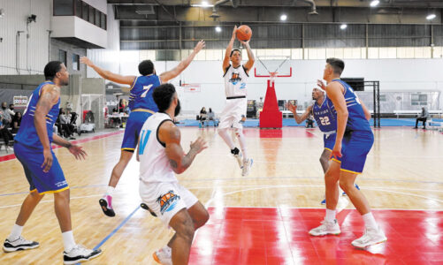 Pro basketball plays at Alliant campus