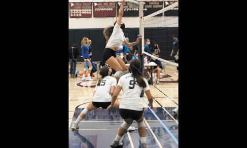 VB team sees success