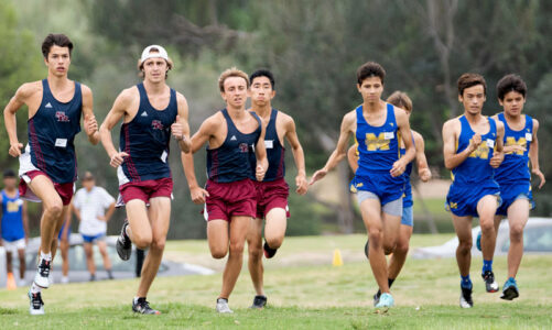 Cross-country runners make a good showing