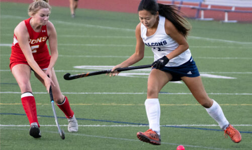 SRHS advances to field hockey semi finals