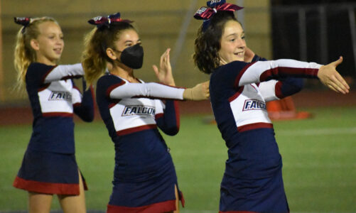 Another great cheer performance