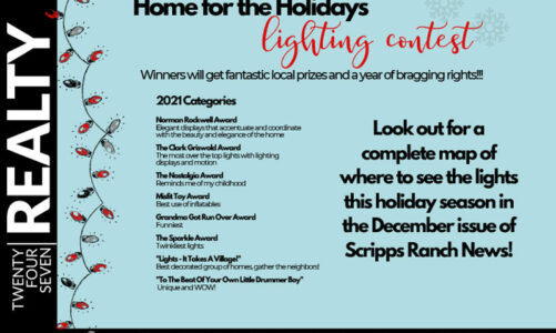 Enter the Home Lighting Contest