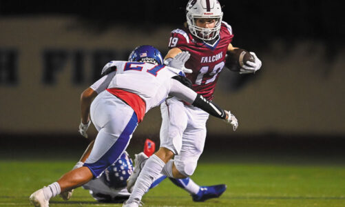 SRHS advances to semifinal game