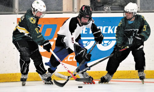 Roller hockey team continues to win