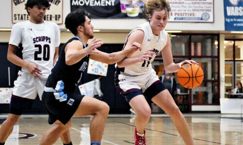 Falcons advance to semifinals in Div. 3