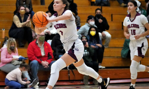 Basketball team wins, advances in playoffs