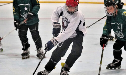 Roller hockey team advances to semis