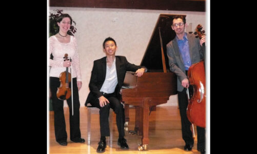 Trio performs at the library