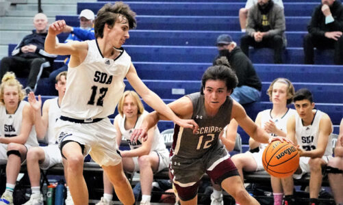 Falcons host State playoff game