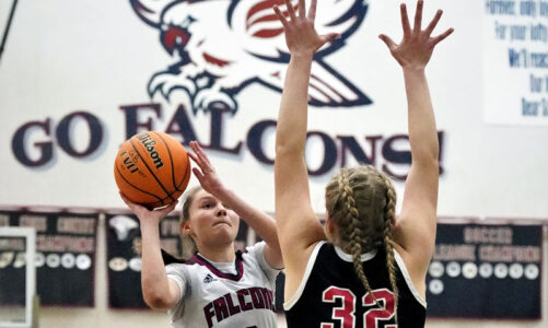 Basketball team advances in State tournament