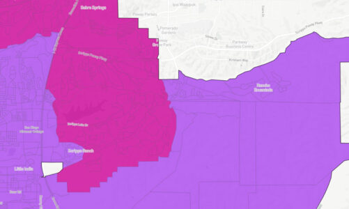 Redistricting divides community among reps