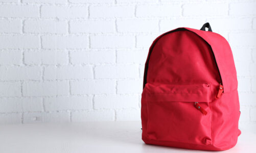 What goes in the bag?