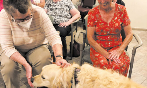 SR Welcome Club celebrates summer