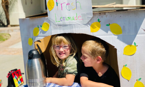 LEMONADE STAND CONTEST