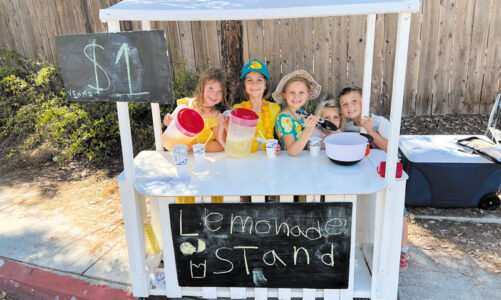 Lemonade Stand Contest deadline nears