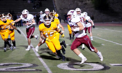 Falcons close with playoff loss