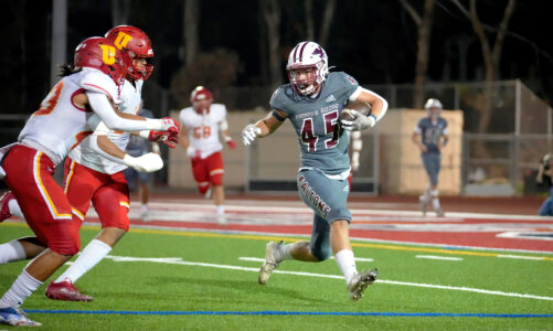 Falcons fall, but still set for CIFs