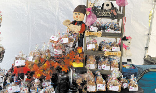 Vendor offers treats and clothing for pets