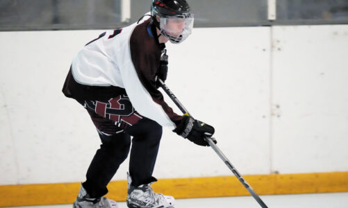 Hockey team seeks playoffs
