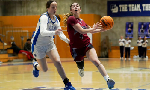 SRHS looks to State following LJCD loss