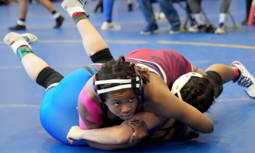 Strong showing at State for two wrestlers