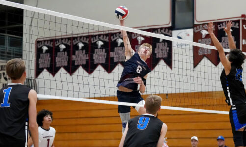 Falcons mens v-ball team opens strong