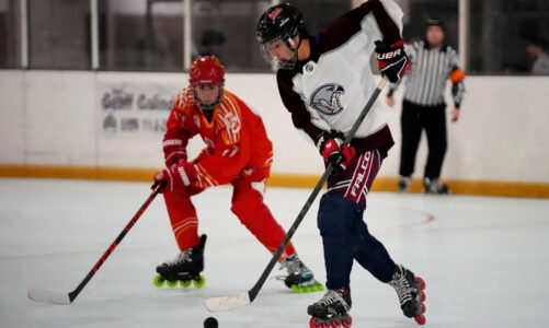 Falcons play in Championship