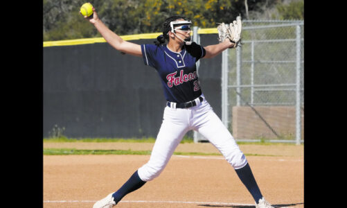 SRHS softball team enters final stretch 
