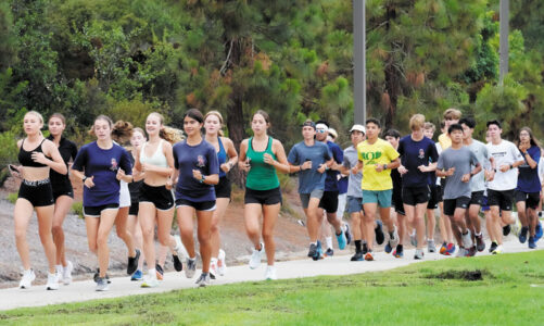 Cross country team enters new season