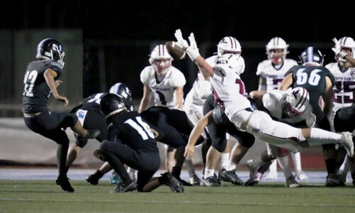 Falcons face Coronado Friday