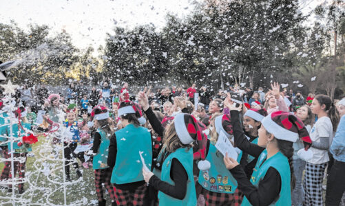 Girl Scout Tree Lighting set for Dec. 3