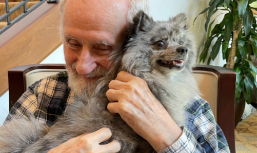 Therapy dogs bring holiday joy to seniors