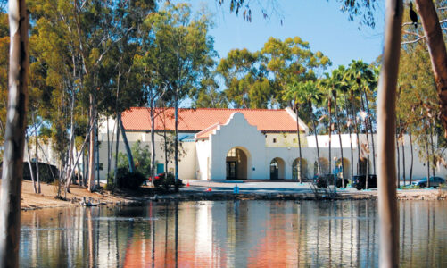 Holiday season at the library