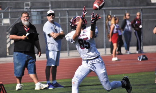 Pop Warner signups are underway 