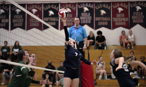 Volleyball team tries to bounce back