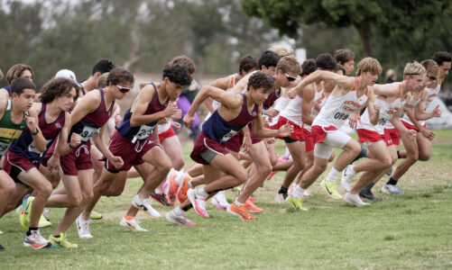 Cross country team enters post-season