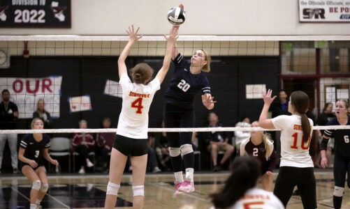 Volleyball team wins first match of playoffs