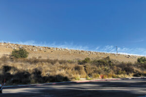 Goats clear brush near Lake Miramar