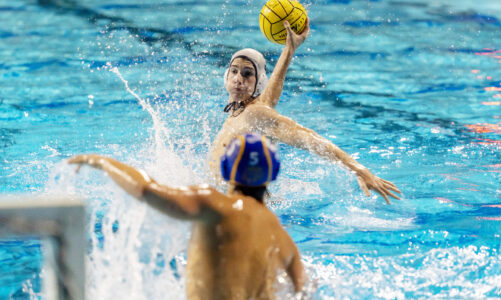 Water polo team has incredible season