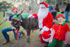 Tree Lighting brought the holiday spirit