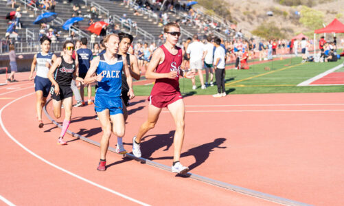 Falcons participate in Mt. Carmel meet