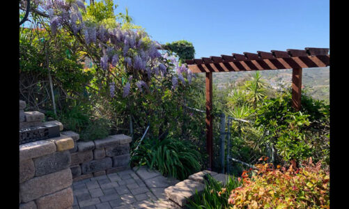 Local club tours members’ gardens   