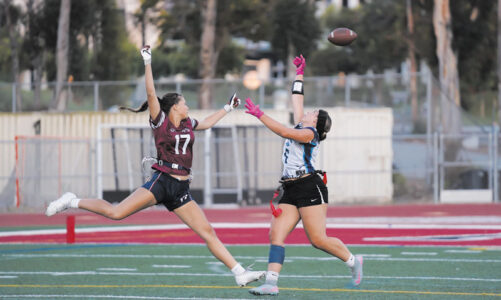 SRHS looks for successful second half of season