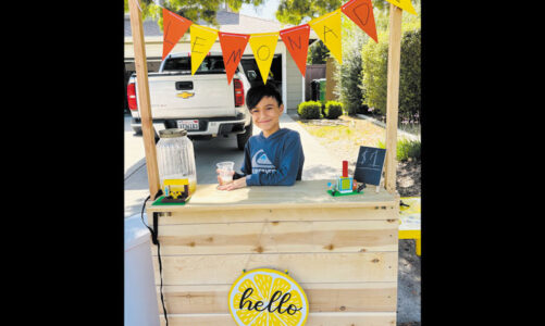 2025 LEMONADE STAND CONTEST