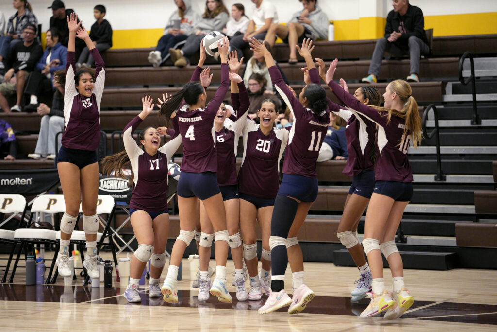Volleyball team wins cif-sds division 1